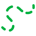 Green Path Icon